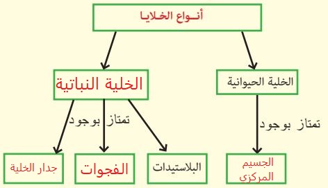 إجابة السؤال 12